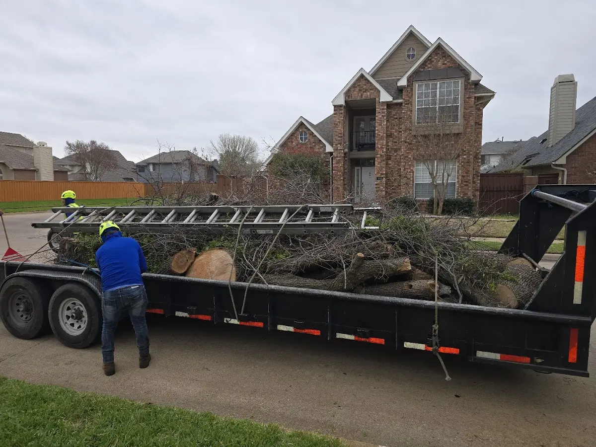 Expert Crown Reduction with proper safety equipment in Forest Grove